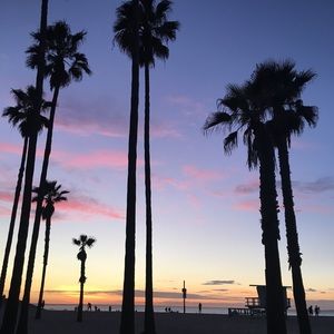 Meet your Posher, Allie